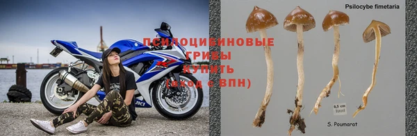 тгк Балахна