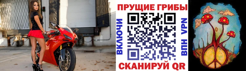 гидра вход  хочу   Заозёрный  Псилоцибиновые грибы прущие грибы 